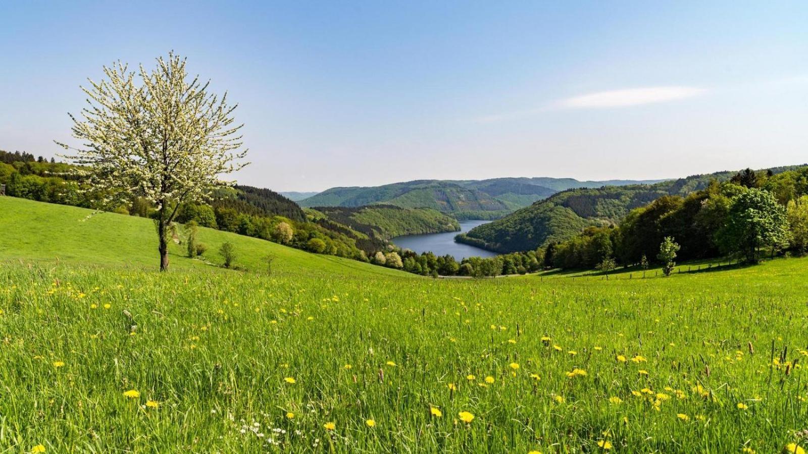 Garni Hotel Im Fachwerkhof سيمراث المظهر الخارجي الصورة